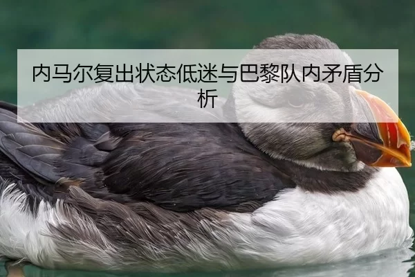 内马尔复出状态低迷与巴黎队内矛盾分析